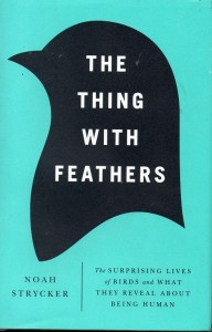 The Thing with Feathers